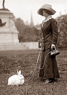 Image result for victorian pictures of rabbits